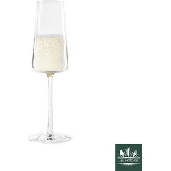 set/6 champagne flute 24 cl Power