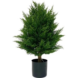 Kunstplant Conifeer deluxe 60 cm UV | NeverLeafs