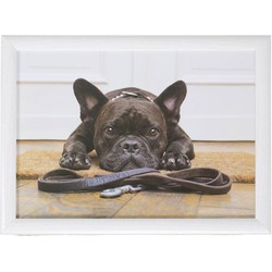 2x Laptrays/schoottafels schattige Franse bulldog honden print 43 x 33 cm - Sierkussens
