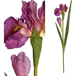 PTMD Garden Bloem Iris Kunsttak - 70 x 21 x 95 cm - Donker roze