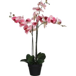 Mica Decorations Orchidee bloem kunstplant - roze - H75 x B50 cmA - Kunstplanten