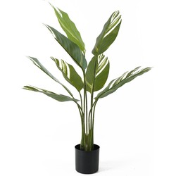 Kunstplant Calathea - Groen - 63x63x90cm