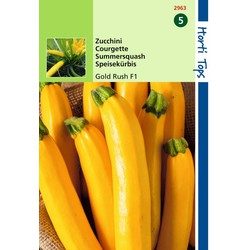 2 stuks - HT Courgette Gold Rush F1