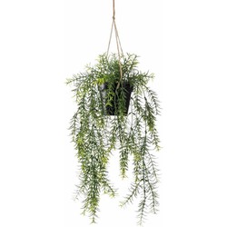 Emerald kunstplant/hangplant - Asparagus - groen - 50 cm lang - Kunstplanten