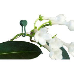 3 stuks - Plantenklemmen groen dia. 15mm set a 15 stuks