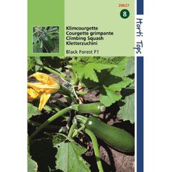 HT Courgette Black Forest F1 (klimmend) - Hortitops