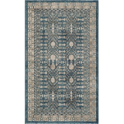 Safavieh Traditional Indoor Woven Area Rug, Sofia Collection, SOF376, in Blue & Beige, 91 X 152 cm