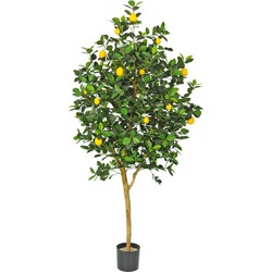 Greenmoods Citroenboom - Citrus Limonia - Nepplanten voor binnen - Kunstplant - 1 Stuk - Groen -