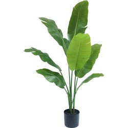 Kunstplant Strelitzia Nicolai 120 cm | NeverLeafs