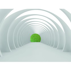 Sanders & Sanders fotobehang 3D-motief wit en groen - 360 x 270 cm - 600499