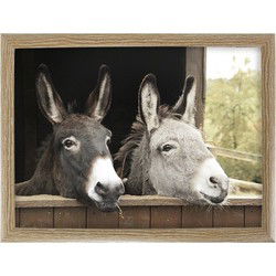 Mars & More Schootkussen - ezels print - laptray - 43 x 33 cm - Dienbladen