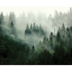 Sanders & Sanders fotobehang berglandschap met bomen groen - 3 x 2,7 m - 601175
