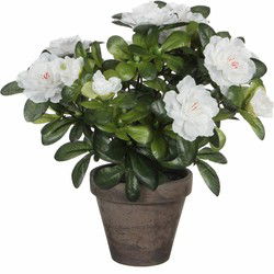 Mica Decorations Kunstplant - Azalea - groen/wit - 27 cm - Kunstplanten