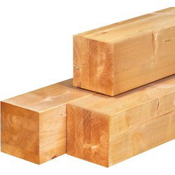 Paal Red Class Wood 20,0x20,0x500 cm Tuindeco
