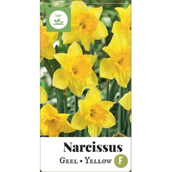 2 stuks - Narcissus grootkronig geel 35 bollen