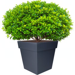 EDA Bloempot Toscane - vierkant - grijs - kunststof - 32 cm - Plantenpotten