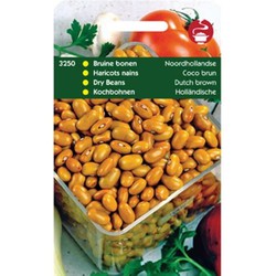 5 stuks - Saatgut Blaue Bohnen Noordhollandse 100g - Tuinplus