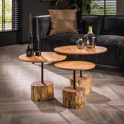 Hoyz Collection - Salontafel Boomstam - Acaciahout - Set van 3