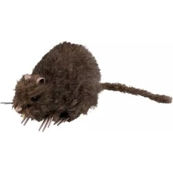 Decoratie Rat - 15x8 cm