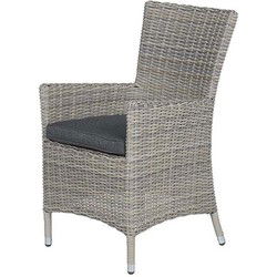 Costa dining fauteuil - vintage willow - reflex black