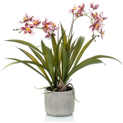 Bordeaux rode orchidee kunstplant in keramische pot 45 cm - Kunstplanten
