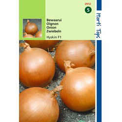 2 stuks - 
