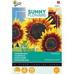 3 stuks - Seeds Sunny Flowers Sonnenblume Ring of Fire - Buzzy