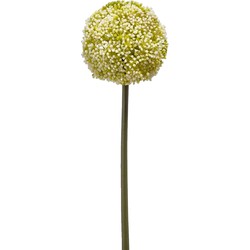 Emerald Allium/Sierui kunstbloem - losse steel - wit/groen - 75 cm - Natuurlijke uitstraling - Kunstbloemen