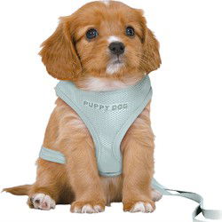 TRIXIE HONDENTUIG JUNIOR PUPPY SOFTTUIG MET RIEM MINTGROEN 36-50X1 CM / 2 MTR