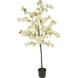 Greenmoods Kersenbloesem - Prunus serrulata - Kunstplant - 1 Stuk - 150cm - Wit