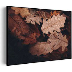 Muurwerken Akoestisch Schilderij - Herfstweer - Geluidsdempend Wandpaneel - Wanddecoratie - Geluidsisolatie - BASIC (AW 0.65) M (85X60)