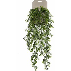 Emerald kunstplant/hangplant - Buxus - groen - 75 cm lang - Kunstplanten