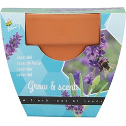 Grow gifts kweekset groeicadeautjelavendel - Buzzy