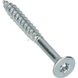 Sp.pl.schr.torx 3,0x30mm vz 40st