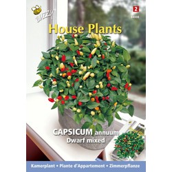 3 stuks - House plants capsicum sierpeper dwarf special