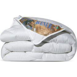 Avenue - All Year Dekbed Enkel 200x200 cm - Anti Allergie Dekbed - Wolkenzacht en Soepel - Tweepersoons Dekbed