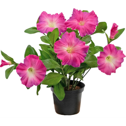 Hoyz Greenery - Kunstbloem Petunia plant 25 cm donker roze