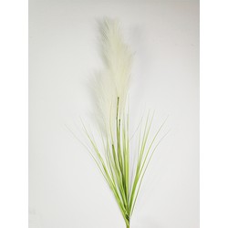 Pampasgras 80cm mit cremefarbenem Blatt Kunstseide Blume - Buitengewoon de Boet