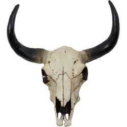 Wandornament Skull buffel wit-zwart L
