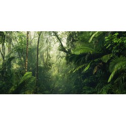 Sanders & Sanders fotobehang jungle groen - 500 x 250 cm - 612393