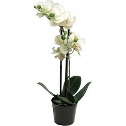 Phalaenopsis Orchidee In Pot 50 cm wit kunstplant - Nova Nature