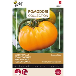 3 stuks - Pomodori grappa gialla