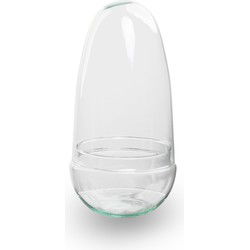 URBANJNGL - Ei - Glazen bol - Stolp - Terrarium ↑ 25,5 cm