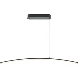 Maytoni - Hanglamp Light Reflection - Zwart
