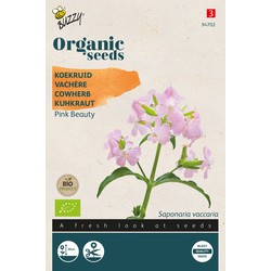 Organic Saponaria, Koekruid Pink Beauty BIO - Buzzy