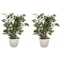 2x stuks groen/witte ficus kunstplant 40 cm met plantenpot taupe D13.5 en H12.5 cm - Kunstplanten