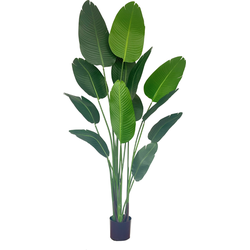 PrettyPlants Strelitzia kunstplant - Nepplanten - Home Decor - Kunstplanten Binnen - Groot Formaat - 160 cm