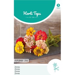 2 stuks - Zinnia Peppermint Stick