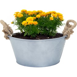 Mega Collections teil/plantenpot Old Rope - zink - zilver - D26 X H12.5 cm - IJzeren emmer / teil