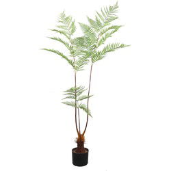 PTMD Kunsttak Varen - 125x70x150 cm - Plastic - Zwart